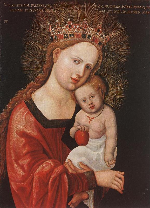 ALTDORFER, Albrecht Mary with the Child  kkk Germany oil painting art